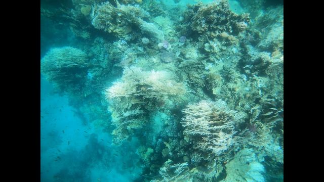 Egypt -Marsa Alam - Brayka bay смотреть онлайн