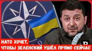 «Украинская армия находится на грани краха, и НАТО хочет, чтобы Зеленский ушёл прямо сейчас»
