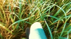 #SlivkiShow КУКИ В КОСМОСЕ v1