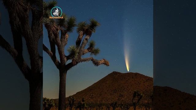 Cometa Neowise C/2020 F3 en espectacular acercamiento a la Tierra | Julio 2020 смотреть онлайн