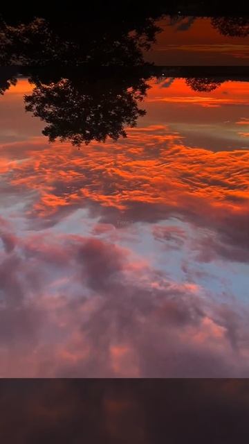 Видео на аву 😍 смотреть онлайн