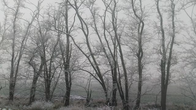VID_20250116_161033