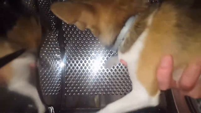 🌠Выход в космос🌎 смотреть онлайн