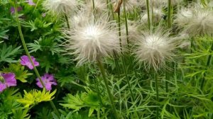 МИСТЕР ОШИБКА 3 СЕРИЯ РУССКАЯ ОЗВУЧКА (BAY YANLIŞ 3.Bölüm)