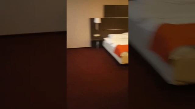 номер в отеле "Park Inn" город Ижевск смотреть онлайн