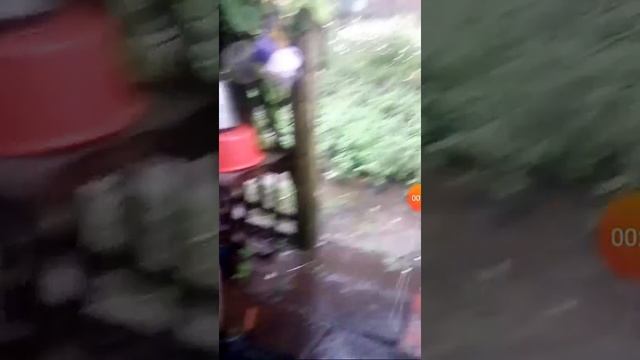 Классная погода у нас, просто нет слов! смотреть онлайн