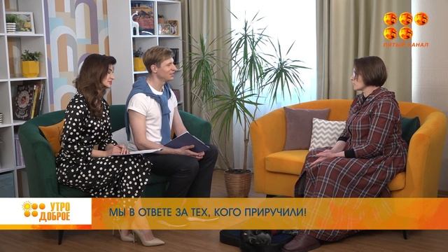 Гость программы "УТРО ДОБРОЕ!" - Наталья Уголькова смотреть онлайн