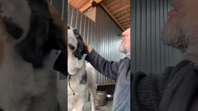 Фира ❤️ смотреть онлайн