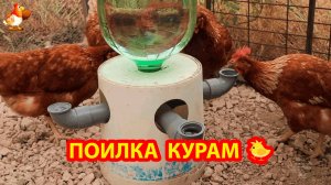 Поилка курам из старого ведра и крестовины из труб с емкостью сверху 💦🐓❣️