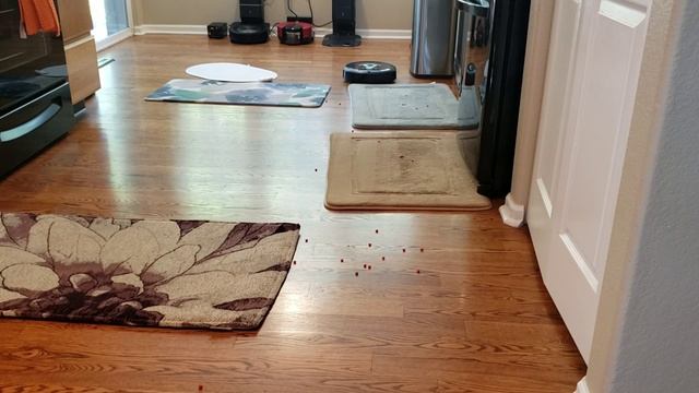 iRobot Roomba I7+ Bathroom Rug Carpet Navigation and Cleaning Test with Yummy Imperial REDS Candies смотреть онлайн