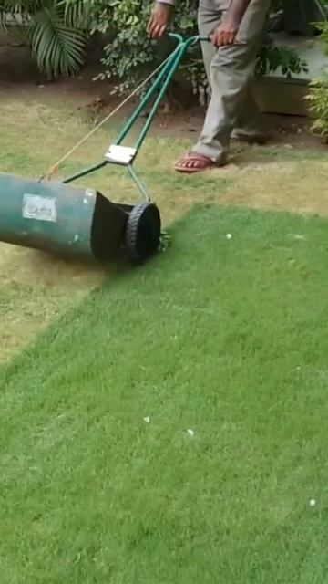 Manual reel mower with grass catcher used to mow lawn #shorts | Lawn Care and Gardening