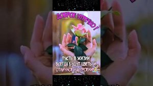 Доброе утро!Как прекрасен этот мир!