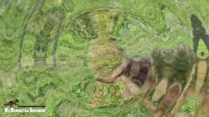 ЛОРД ИЗ ПОМЕСТЬЯ БОГОВИК (5 мес) зонарно-рыжий щенок длинношерстной немецкой овчарки