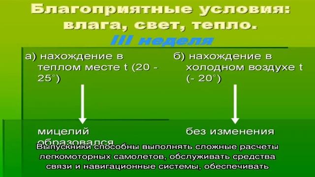 Московский вечерний авиационный технологический техникум смотреть онлайн