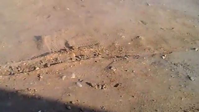 мы новички смотреть онлайн