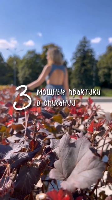 ПРАКТИКИ на день осеннего равноденствия смотреть онлайн