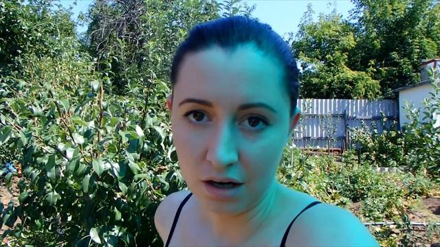 Vlog | Лунное затмение. Горячие помидорки. смотреть онлайн