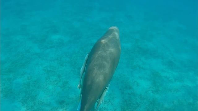 Marsa Alam 2022 смотреть онлайн