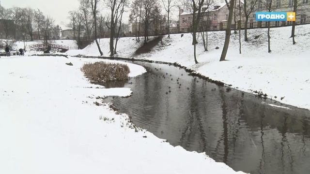 Новости Гродно Выпуск 05.02.20. News Grodno. Гродно Плюс
