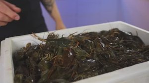 10 САМЫХ БЕЗУМНЫХ СПОСОБОВ ПРИГОТОВЛЕНИЯ РАКОВ