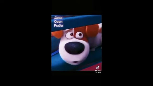 знаки зодиака!!! посмотри в описание)) смотреть онлайн