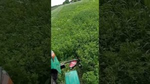 косилка трехдисковая к мототрактору