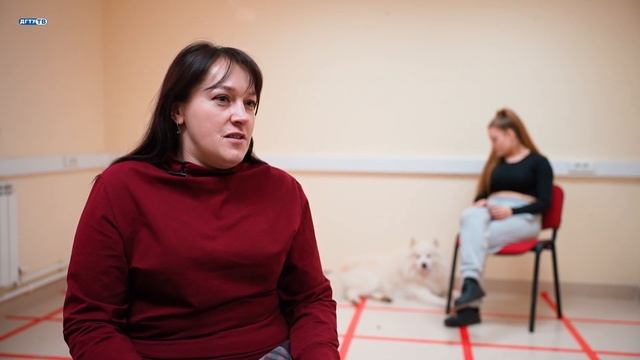 Как понять свою собаку? Исследуют в ДГТУ смотреть онлайн