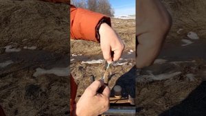 Электро подогрев пчелиной семьи в весенне время часть 2