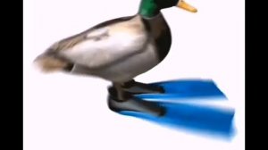 Гусь в ластах танцует под музыку из ETS2 48 секунд