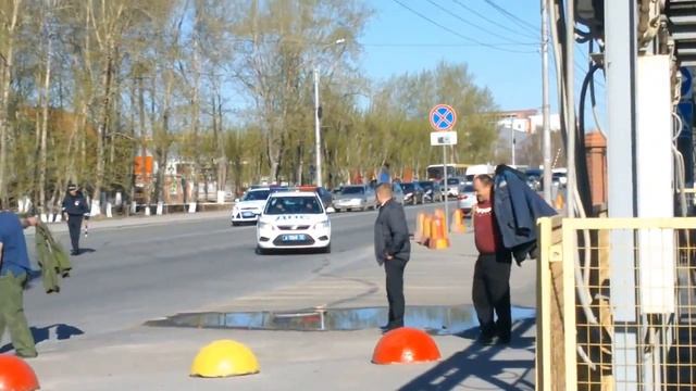 Лось в Тюмени смотреть онлайн