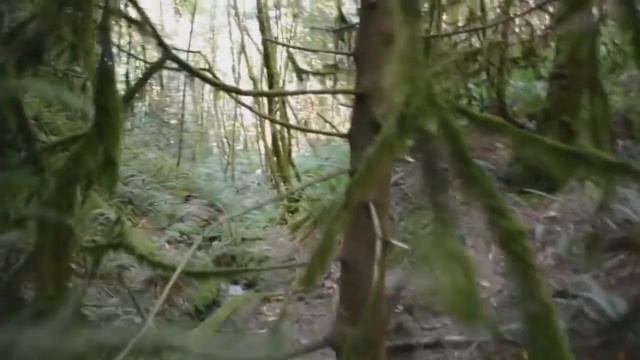 Существо смотреть онлайн