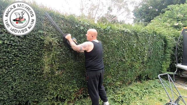 McCulloch Hedge Trimmer Bogging Lets Have A Look #micksmowers #mcculloch смотреть онлайн