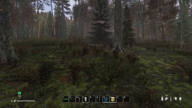 Dayz играю на сервер пве 2024 смотреть онлайн