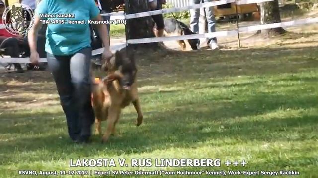 №130 ЛАКОСТА Ф. РУС ЛИНДЕРБЕРГ +++ смотреть онлайн