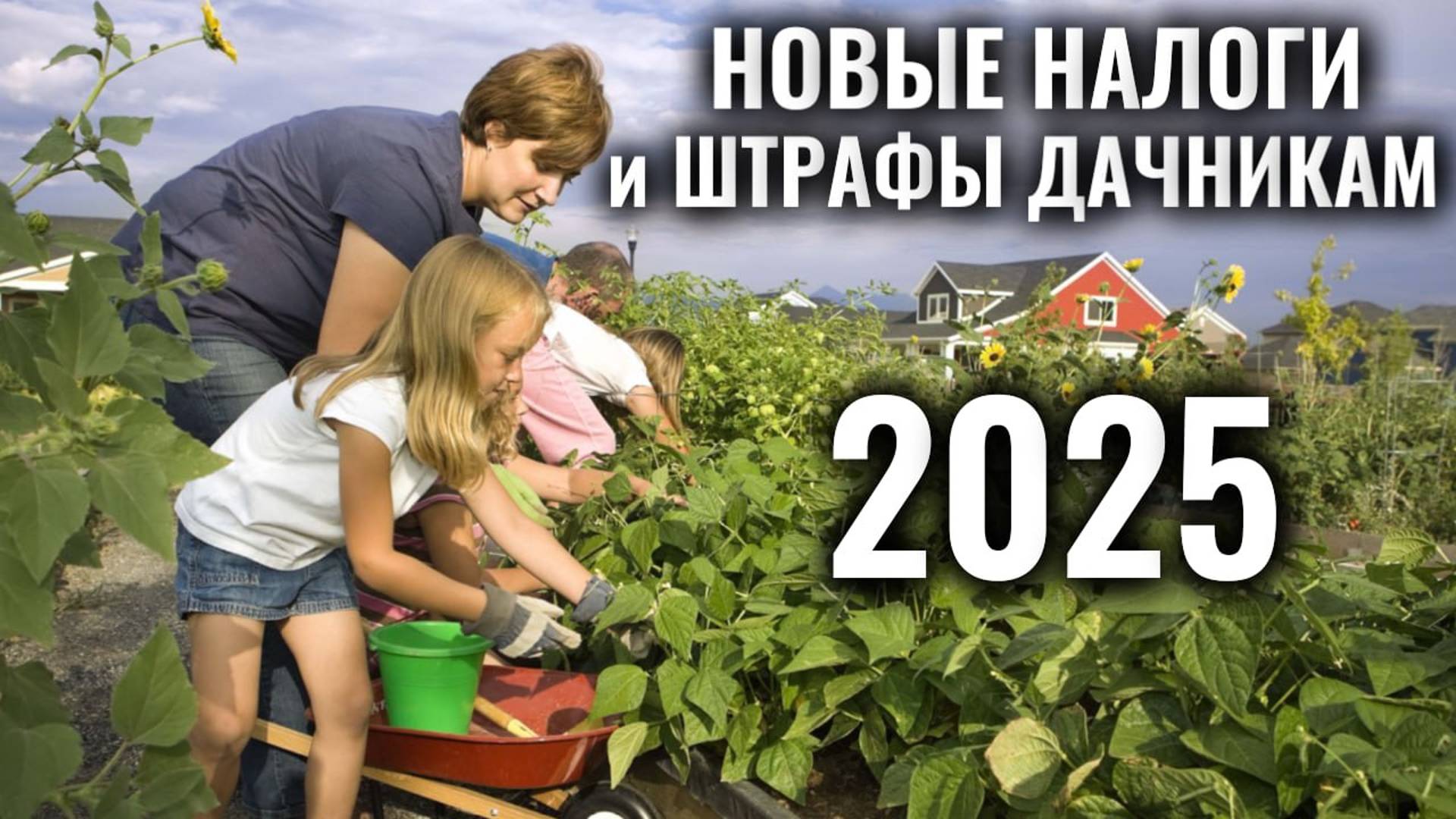 С 2025 года дачники будут платить новые налоги на теплицы, сараи, туалеты и курятники