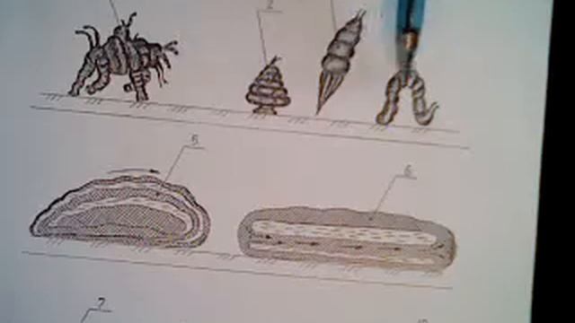 Запись 1 29 03 2014 16 24 смотреть онлайн