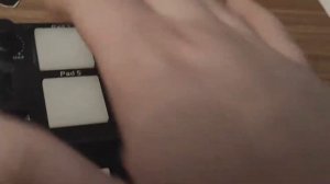 УБИЛИ КРЫСУ