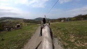 Конный туризм Сочи. Дорога к морю. Верхом от первого лица. Влог №198