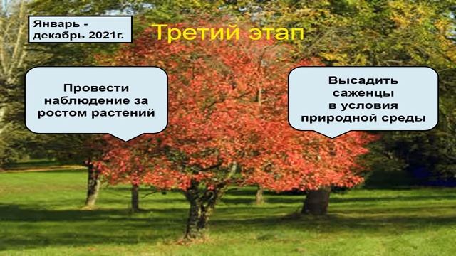 Строим Лес. Владивосток смотреть онлайн