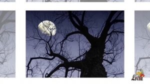 ФАНТАСТИЧЕСКИЙ РЕЛАКС