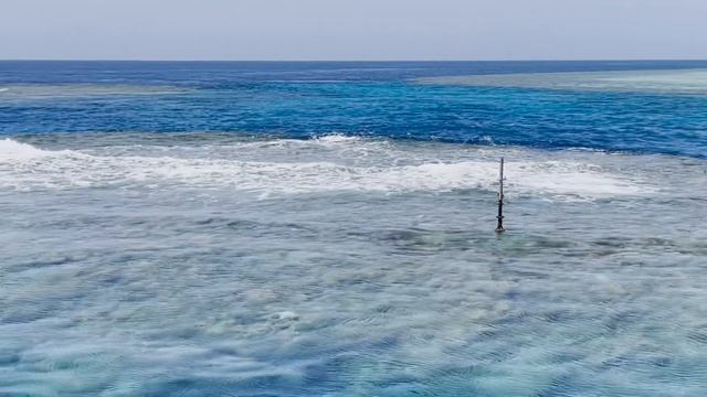 Egypt 2021. Sharm el Sheikh. Red sea. Hilton Sharks bay смотреть онлайн