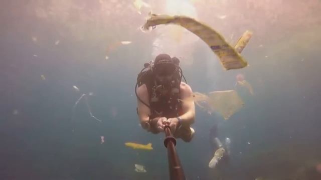 Любимая Планета смотреть онлайн