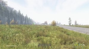 Выживание в Dayz