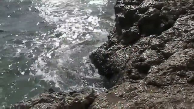 Red Sea in Marsa Alam Egypt - Червоне море у Марса Алам Єгіпет