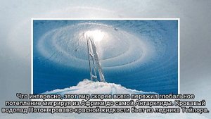 Удивительные находки Антарктиды
