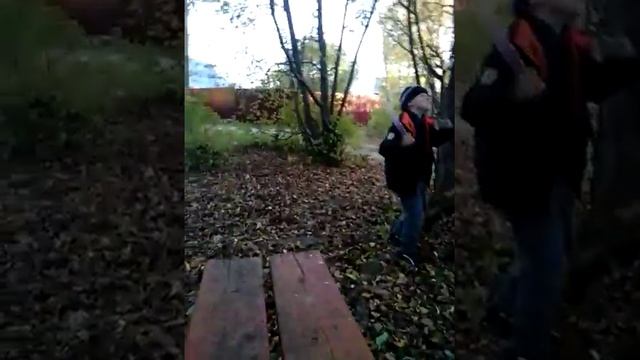 Видео Полюшки смотреть онлайн