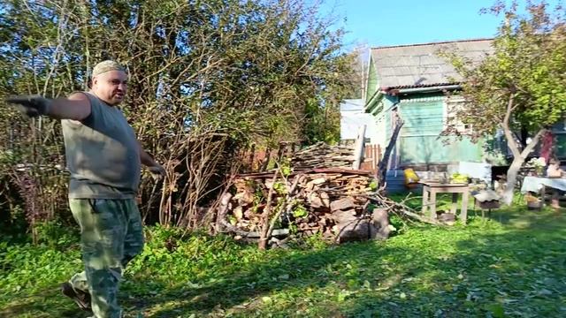 Уборка старых и больных деревьев с участка. смотреть онлайн