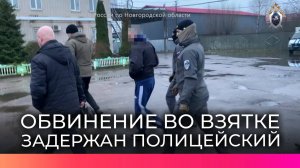 Заместителя начальника полиции регионального УМВД обвиняют в получении взятки в крупном размере