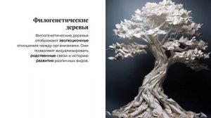 12 Биологическое разнообразие систематика и классификация организмов