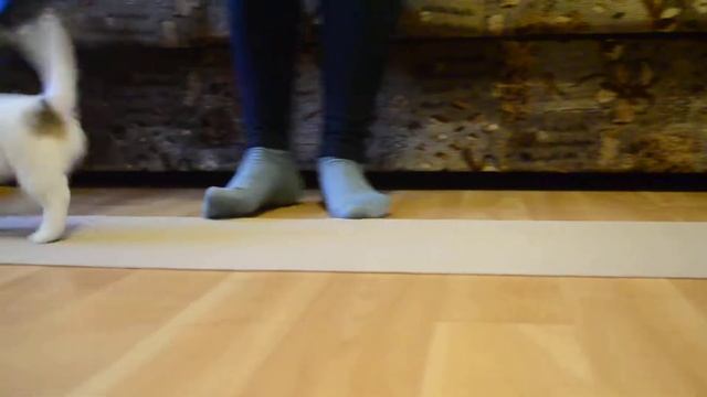 Венера 4. 8 недель смотреть онлайн